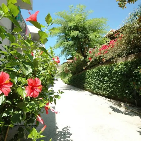 Apart-hotel Limoneto Residence Beach Capo Vaticano San Nicolò